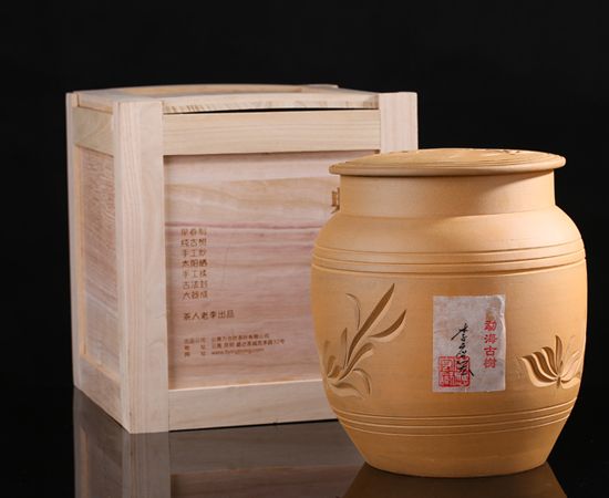 2015年明前早春，封藏古树（勐海）