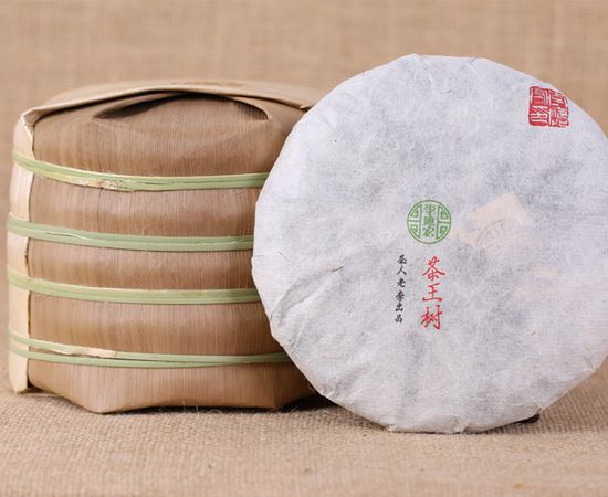 2015年明前早春，易武茶王