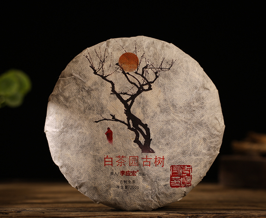 2018年易武白茶园古树（早春，收藏版）