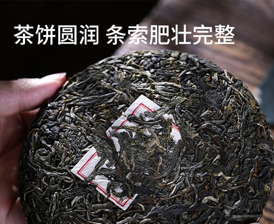 冰岛地界古树精选2023年春珍藏版_易武系_普洱生茶_收藏品_茶人老