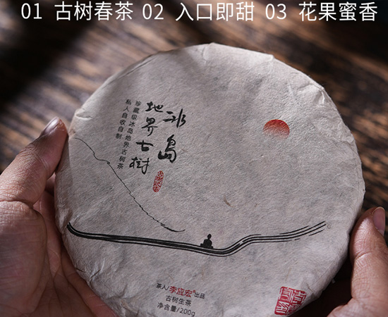 冰島古樹白茶 2023 | 鈴茶堂 SUZUCHADO - 鈴茶堂 SUZUCHADO